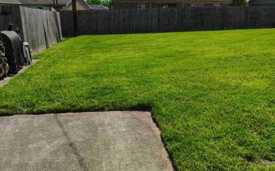 Photo of Sandra M.'s yard after getting lawn care in Independence, KY