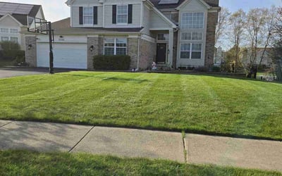 Photo of Tee F.'s yard after getting lawn care in Woodstock, IL
