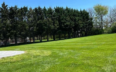 Photo of Carlos F.'s yard after getting lawn care in Middletown, DE