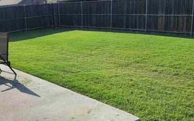 Photo of Warren D.'s yard after getting lawn care in Beverly, MA