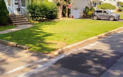 Photo of Ronald D.'s yard after getting lawn care in North Arlington, NJ