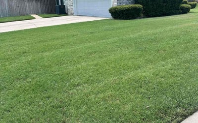 Photo of kelly m.'s yard after getting lawn care in Killeen, TX