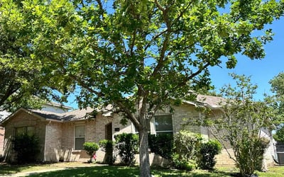 Photo of Sherry T.'s yard after getting lawn care in Wylie, TX