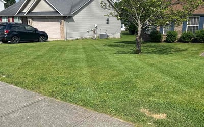 Photo of Brandon B.'s yard after getting lawn care in Elizabethtown, KY