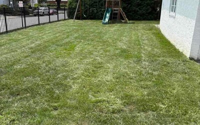 Photo of Tori Z.'s yard after getting lawn care in Taylors, SC