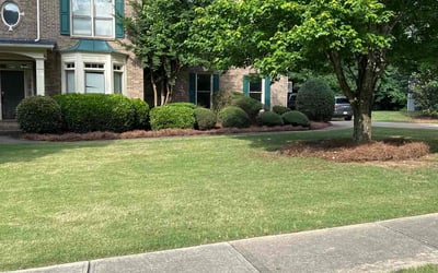 Photo of Kindra B.'s yard after getting lawn care in Portland, ME