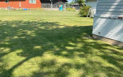 Photo of Cris P.'s yard after getting lawn care in Bensalem, PA