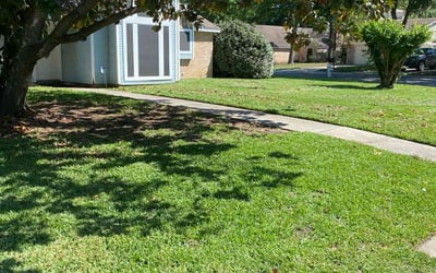Photo of Timothy A.'s yard after getting lawn care in Silverton, OR