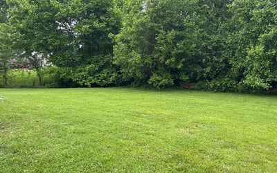 Photo of Kailey A.'s yard after getting lawn care in Elgin, TX