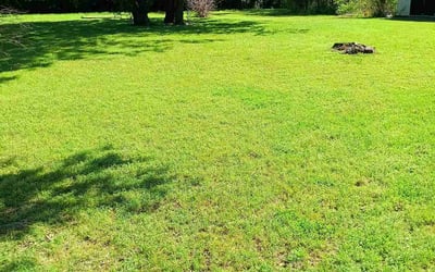 Photo of Chandra M.'s yard after getting lawn care in Okmulgee, OK