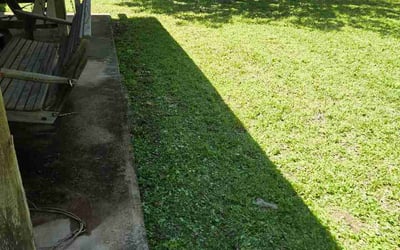 Photo of Bobby C.'s yard after getting lawn care in Liberty, SC