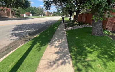 Photo of Ima D.'s yard after getting lawn care in Altadena, CA