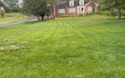 Photo of Khysha M.'s yard after getting lawn care in Dayton, OH