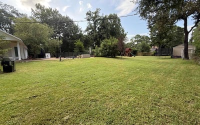 Photo of Nicol D.'s yard after getting lawn care in Parkville, MD