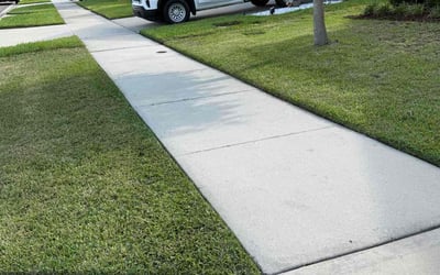 Photo of Nicholas G.'s yard after getting lawn care in San Antonio, TX