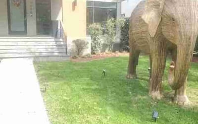 Photo of Jessica B.'s yard after getting lawn care in Spring Valley, NY