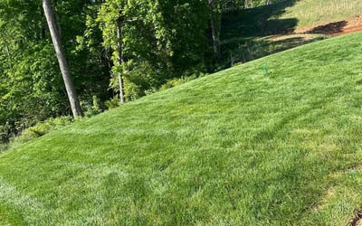 Photo of Gayathri R.'s yard after getting lawn care in Clemmons, NC