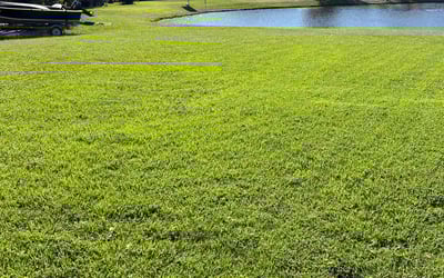 Photo of Catherine B.'s yard after getting lawn care in Parrish, FL