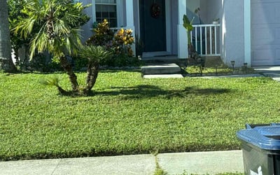 Photo of Eddie P.'s yard after getting lawn care in Casselberry, FL