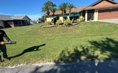 Photo of Andres S.'s yard after getting lawn care in Boerne, TX