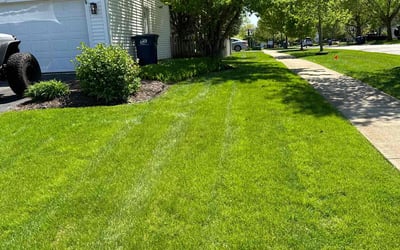 Photo of Todd E.'s yard after getting lawn care in Geneva, IL