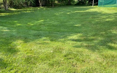 Photo of Paul G.'s yard after getting lawn care in Streetsboro, OH