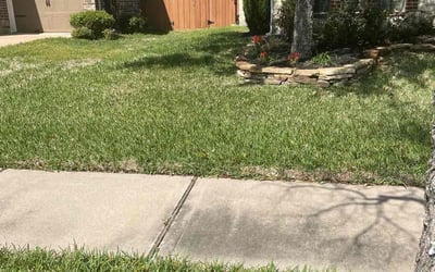 Photo of Roksolana B.'s yard after getting lawn care in Palm Coast, FL