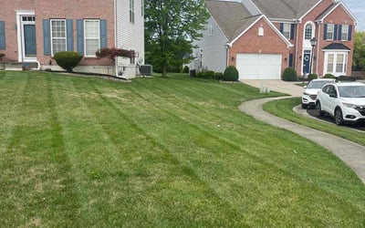 Photo of DJ T.'s yard after getting lawn care in Hamilton, OH