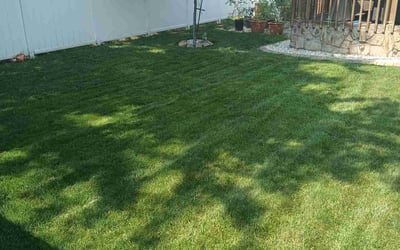 Photo of EMMETT D.'s yard after getting lawn care in O'Fallon, IL