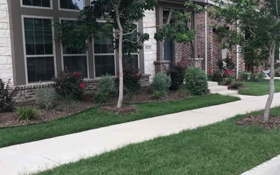 Photo of Youseff F.'s yard after getting lawn care in Argyle, TX