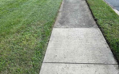 Photo of Marsha M.'s yard after getting lawn care in Williamsport, PA