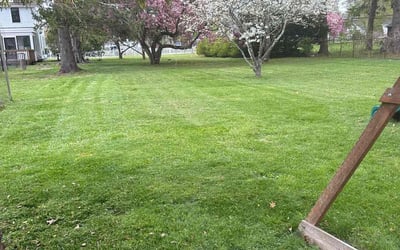 Photo of Gail B.'s yard after getting lawn care in East Providence, RI