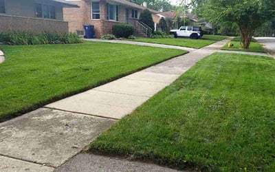 Photo of Sergio H.'s yard after getting lawn care in Matteson, IL