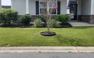 Photo of Signe M.'s yard after getting lawn care in Wilmington, NC