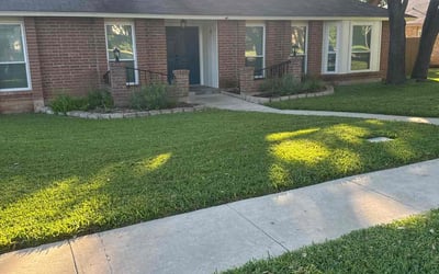 Photo of Mark S.'s yard after getting lawn care in San Antonio, TX
