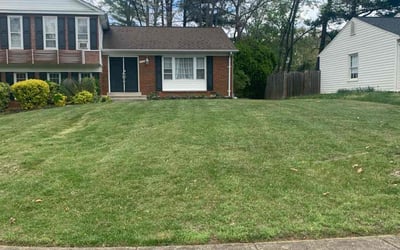 Photo of Courtney T.'s yard after getting tree care in Springfield, VA