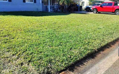 Photo of Joseph M.'s yard after getting lawn care in Newark, NY