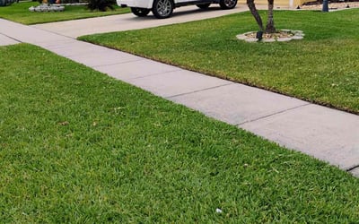 Photo of Alexa A.'s yard after getting lawn care in Savage, MN