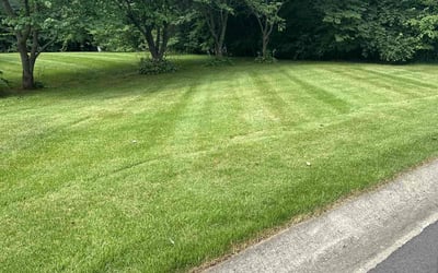 Photo of Susan C.'s yard after getting lawn care in Greenwood, IN