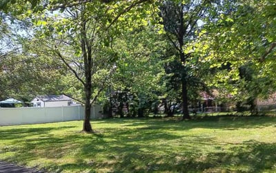 Photo of Jill S.'s yard after getting lawn care in New Richmond, OH