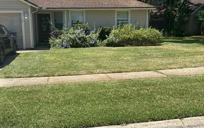 Photo of Mike M.'s yard after getting lawn care in Pinellas Park, FL