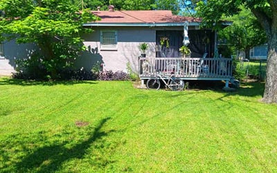 Photo of Katelynn C.'s yard after getting lawn care in Wilbraham, MA