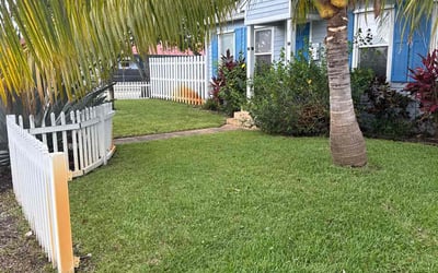 Photo of Joanna B.'s yard after getting lawn care in Raleigh, NC