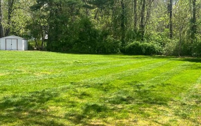 Photo of Tim H.'s yard after getting lawn care in Southington, CT