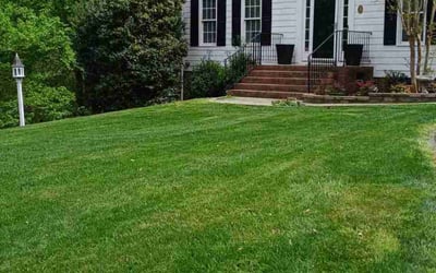 Photo of Kanika P.'s yard after getting lawn care in Raleigh, NC