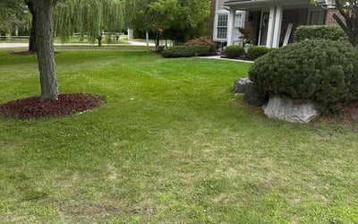 Photo of Alexandra H.'s yard after getting lawn care in Novi, MI