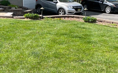 Photo of Jennifer D.'s yard after getting lawn care in Sussex, NJ