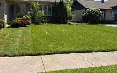 Photo of Susan D.'s yard after getting lawn care in Rancho Cucamonga, CA