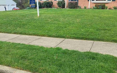 Photo of David C.'s yard after getting lawn care in Laurel, MD