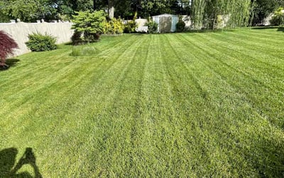 Photo of Hussain A.'s yard after getting lawn care in Los Angeles, CA
